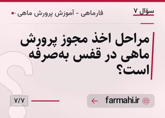 مراحل اخذ مجوز پرورش ماهی در قفس به‌صرفه است؟