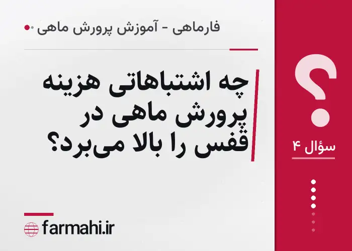 چه اشتباهاتی هزینه پرورش ماهی در قفس را بالا می‌برد؟