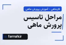 مراحل تاسیس پرورش ماهی