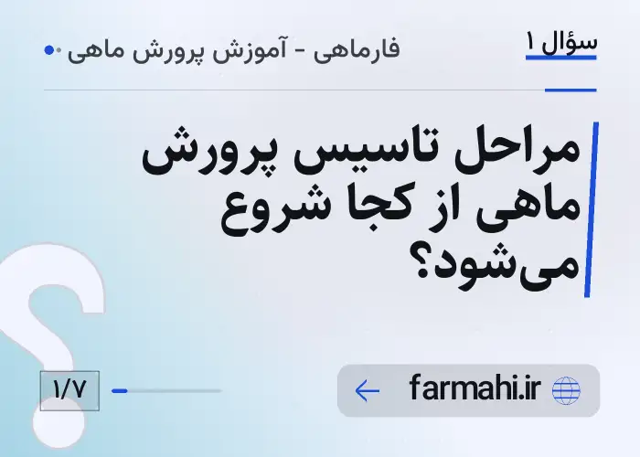 مراحل تاسیس پرورش ماهی از کجا شروع می‌شود؟