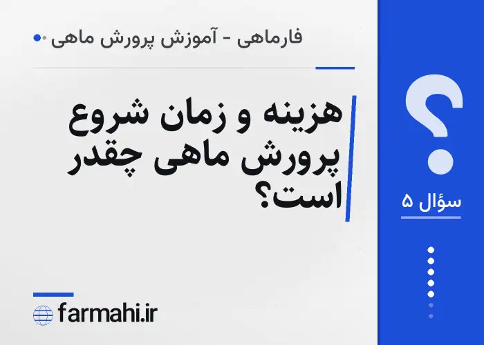 هزینه و زمان شروع پرورش ماهی چقدر است؟