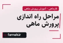 مراحل راه اندازی پرورش ماهی