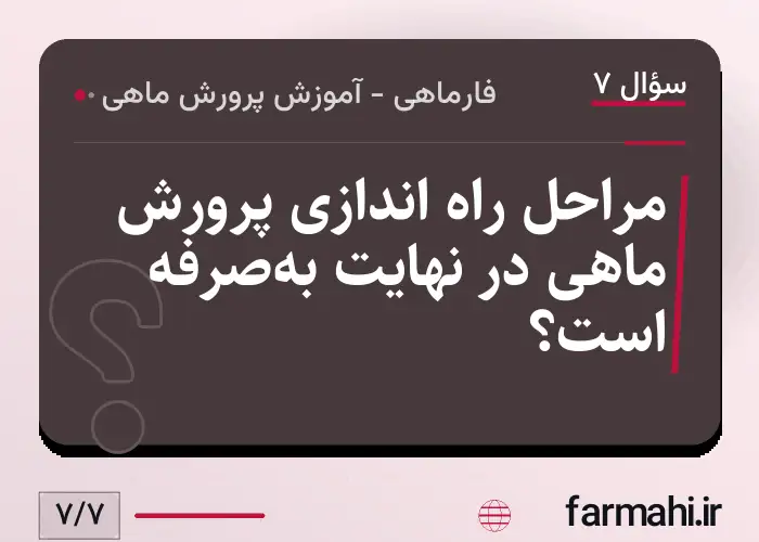 مراحل راه اندازی پرورش ماهی در نهایت به‌صرفه است؟