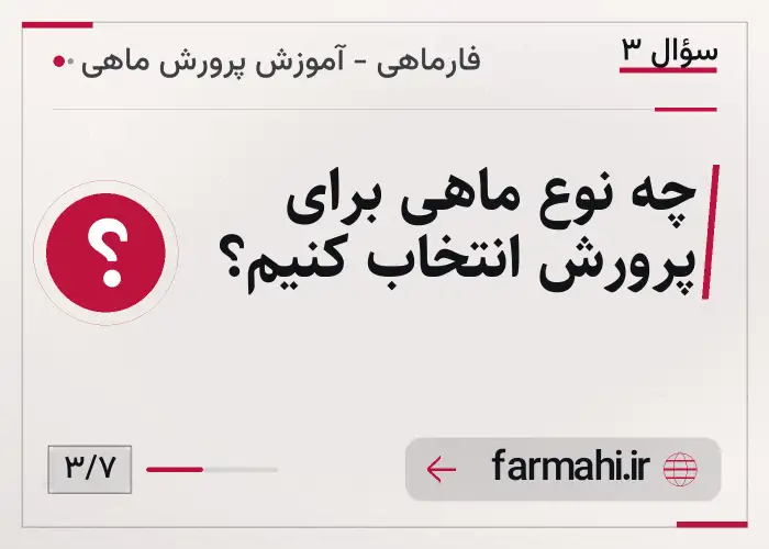 چه نوع ماهی برای پرورش انتخاب کنیم؟