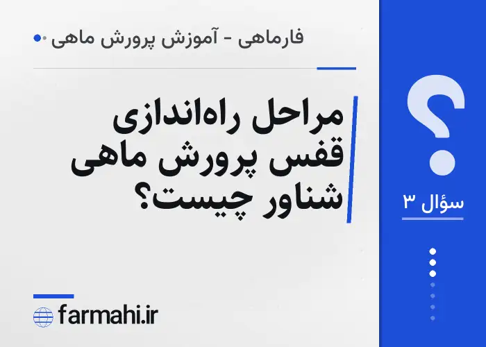 مراحل راه‌اندازی قفس پرورش ماهی شناور چیست؟