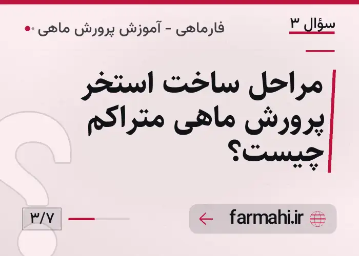 مراحل ساخت استخر پرورش ماهی متراکم چیست؟