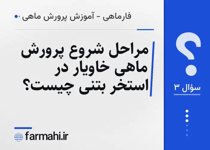 مراحل شروع پرورش ماهی خاویار در استخر بتنی چیست؟