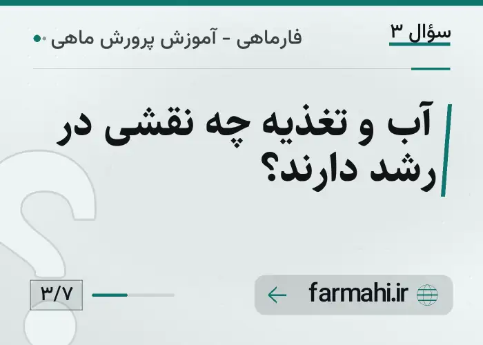 آب و تغذیه چه نقشی در رشد دارند؟