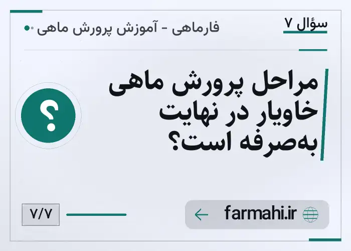 مراحل پرورش ماهی خاویار در نهایت به‌صرفه است؟