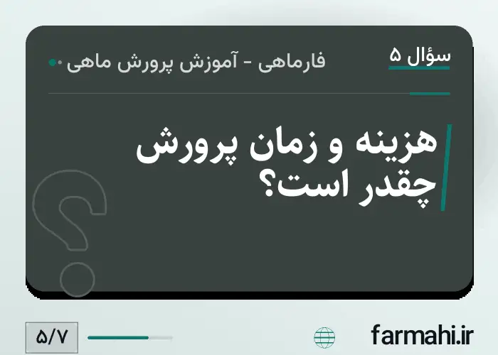 هزینه و زمان پرورش چقدر است؟