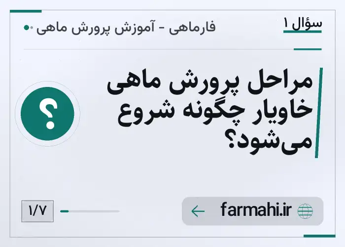 مراحل پرورش ماهی خاویار چگونه شروع می‌شود؟
