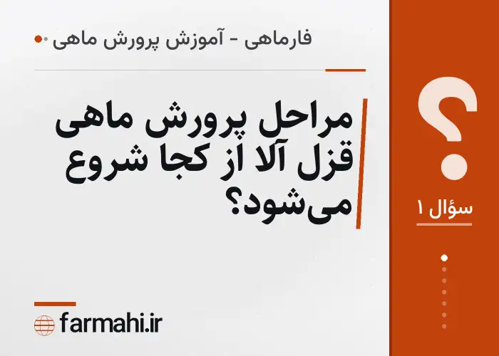 مراحل پرورش ماهی قزل آلا از کجا شروع می‌شود؟