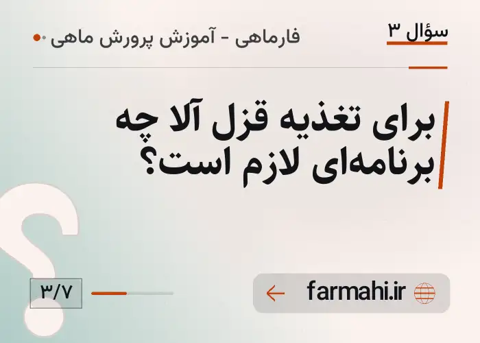 برای تغذیه قزل آلا چه برنامه‌ای لازم است؟