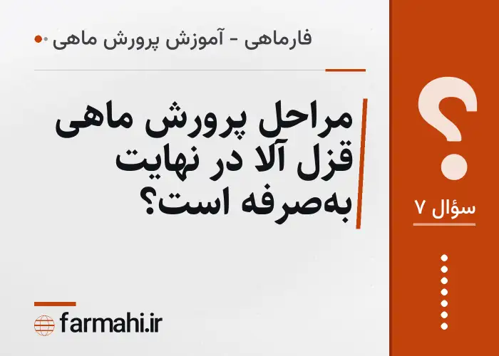 مراحل پرورش ماهی قزل آلا در نهایت به‌صرفه است؟