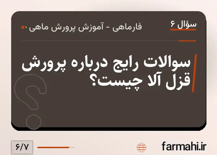 سوالات رایج درباره پرورش قزل آلا چیست؟