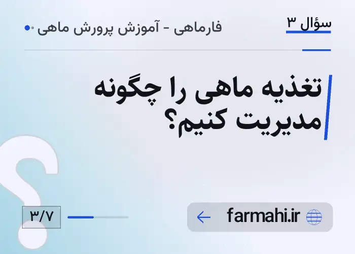 تغذیه ماهی را چگونه مدیریت کنیم؟