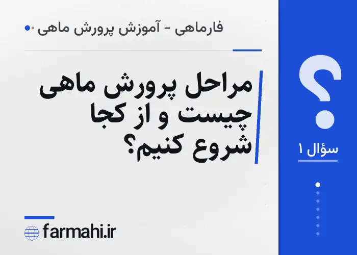مراحل پرورش ماهی چیست و از کجا شروع کنیم؟