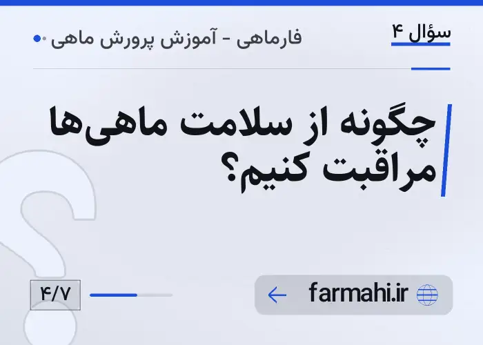 چگونه از سلامت ماهی‌ها مراقبت کنیم؟