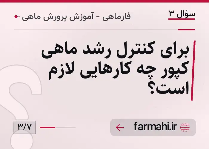 برای کنترل رشد ماهی کپور چه کارهایی لازم است؟