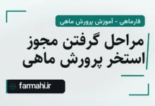 مراحل گرفتن مجوز استخر پرورش ماهی