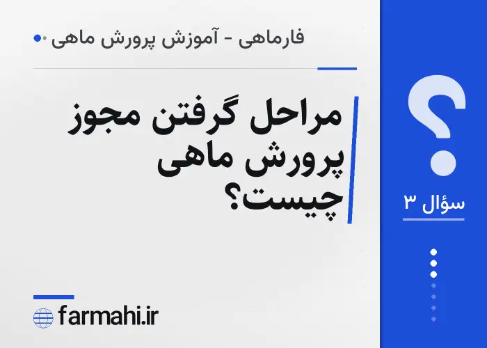 مراحل گرفتن مجوز پرورش ماهی چیست؟