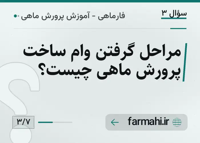 مراحل گرفتن وام ساخت پرورش ماهی چیست؟