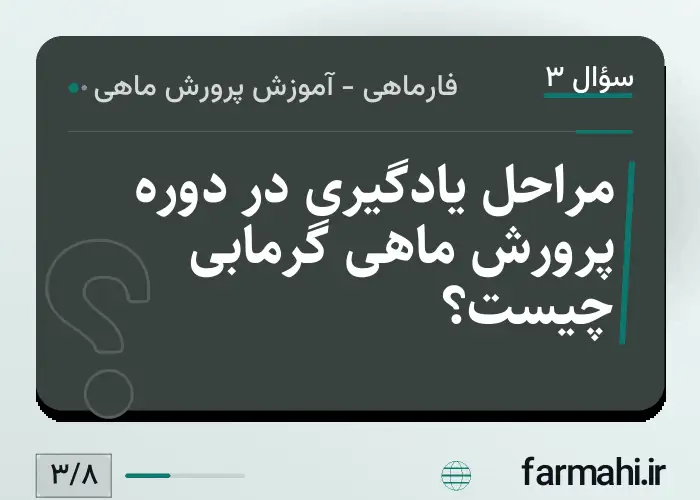 مراحل یادگیری در دوره پرورش ماهی گرمابی چیست؟
