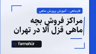 مراکز فروش بچه ماهی قزل آلا در تهران