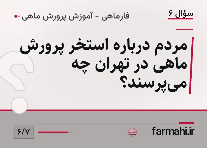 مردم درباره استخر پرورش ماهی در تهران چه می‌پرسند؟