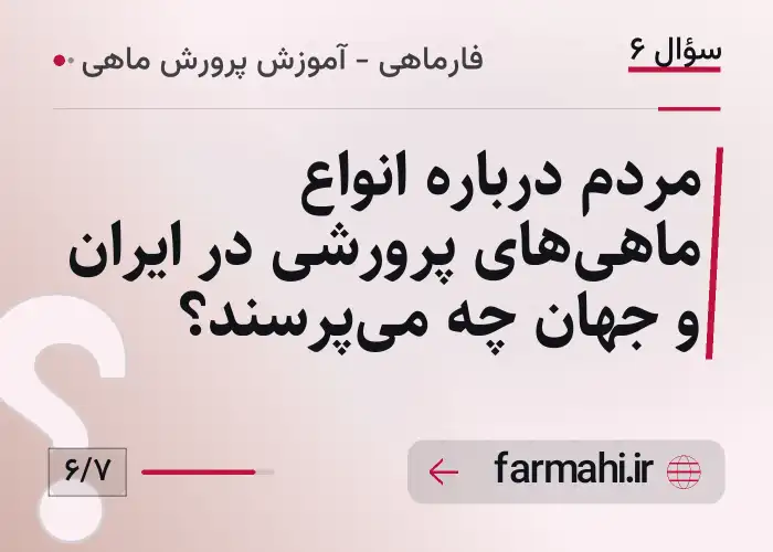 مردم درباره انواع ماهی‌های پرورشی در ایران و جهان چه می‌پرسند؟
