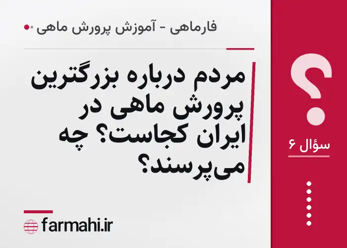 مردم درباره بزرگترین پرورش ماهی در ایران کجاست؟ چه می‌پرسند؟