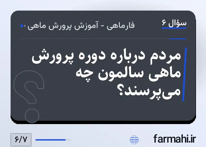 مردم درباره دوره پرورش ماهی سالمون چه می‌پرسند؟