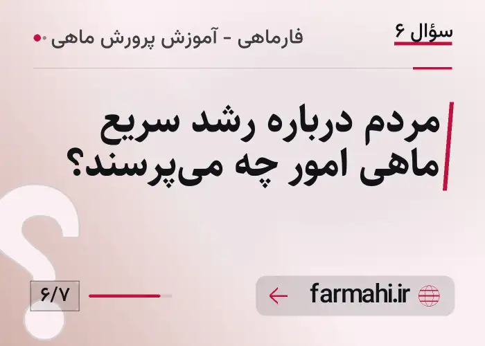 مردم درباره رشد سریع ماهی امور چه می‌پرسند؟