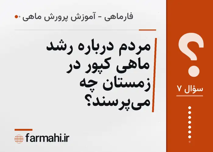 مردم درباره رشد ماهی کپور در زمستان چه می‌پرسند؟