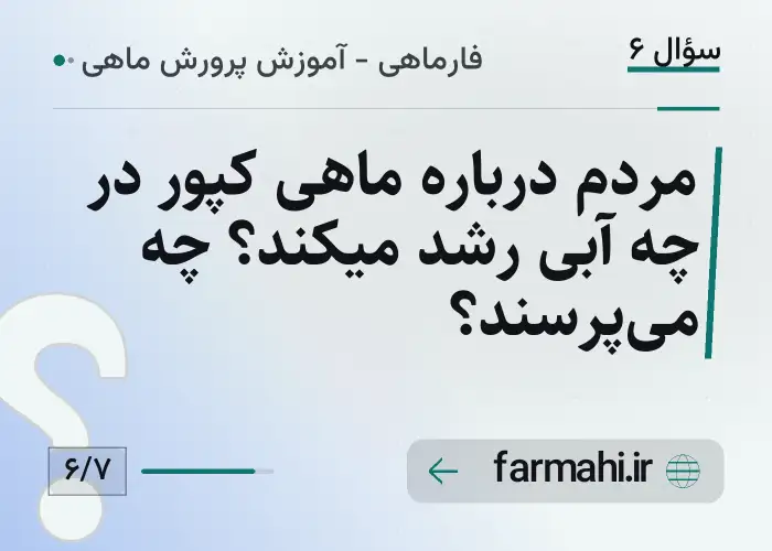 مردم درباره ماهی کپور در چه آبی رشد میکند؟ چه می‌پرسند؟