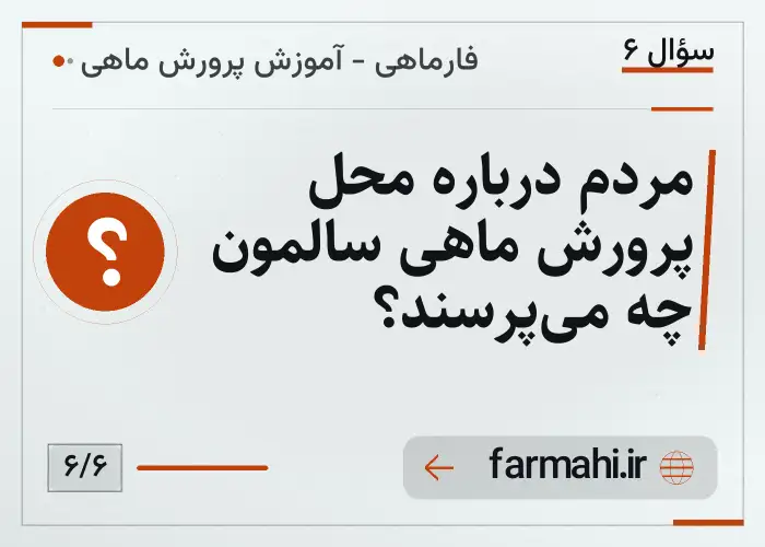 مردم درباره محل پرورش ماهی سالمون چه می‌پرسند؟