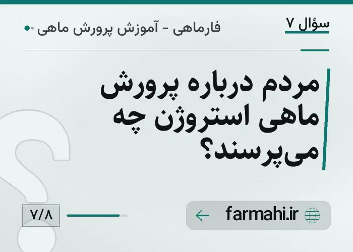 مردم درباره پرورش ماهی استروژن چه می‌پرسند؟