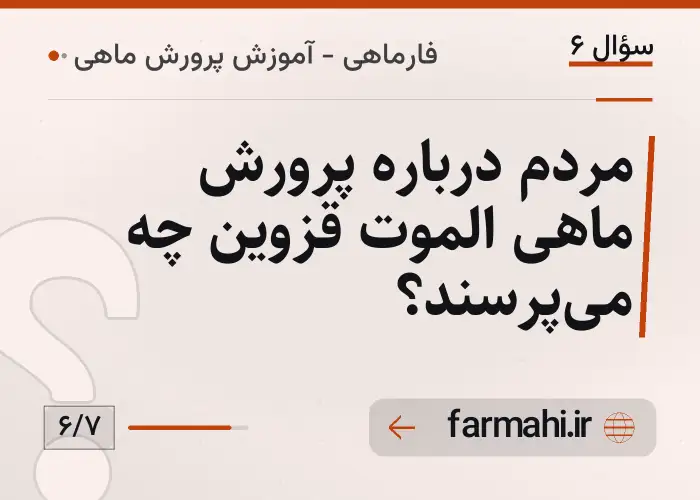 مردم درباره پرورش ماهی الموت قزوین چه می‌پرسند؟