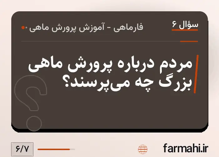 مردم درباره پرورش ماهی بزرگ چه می‌پرسند؟