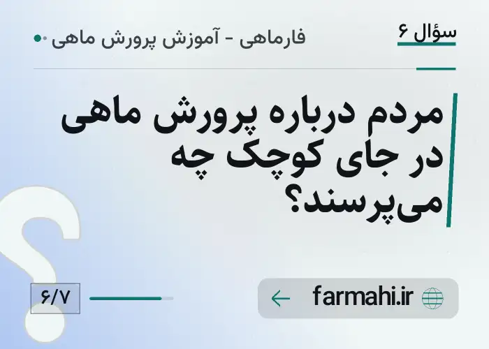 مردم درباره پرورش ماهی در جای کوچک چه می‌پرسند؟