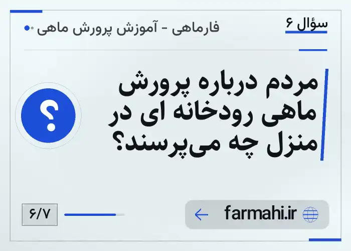 مردم درباره پرورش ماهی رودخانه ای در منزل چه می‌پرسند؟