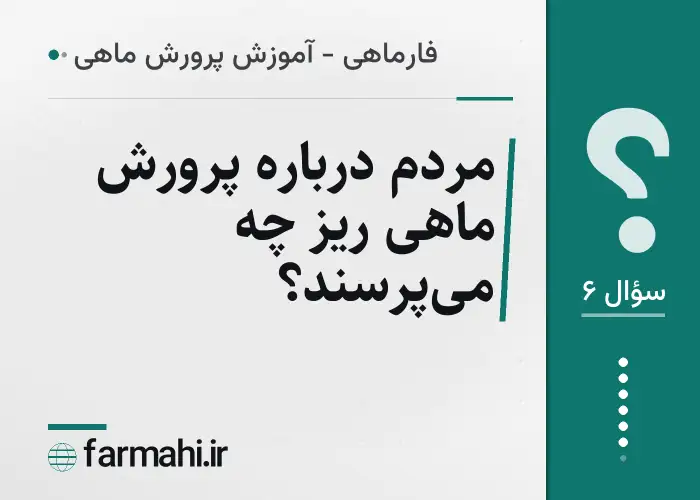مردم درباره پرورش ماهی ریز چه می‌پرسند؟