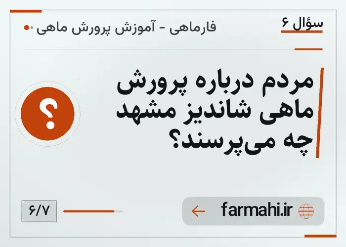 مردم درباره پرورش ماهی شاندیز مشهد چه می‌پرسند؟