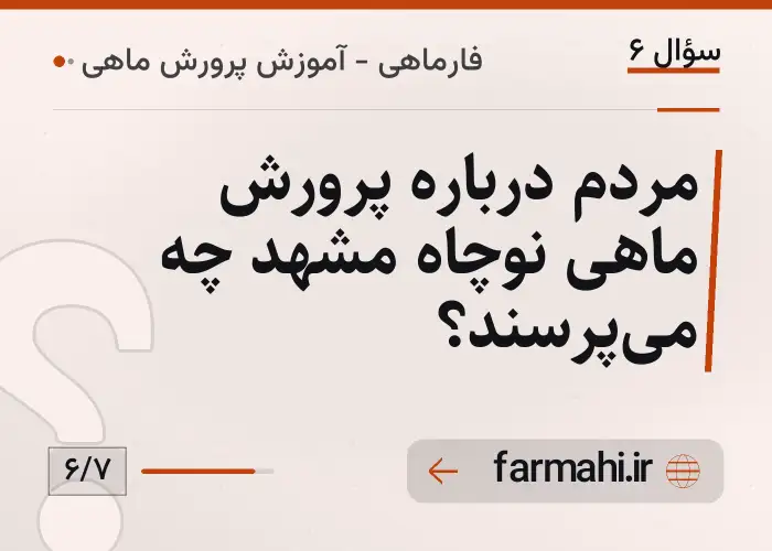 مردم درباره پرورش ماهی نوچاه مشهد چه می‌پرسند؟
