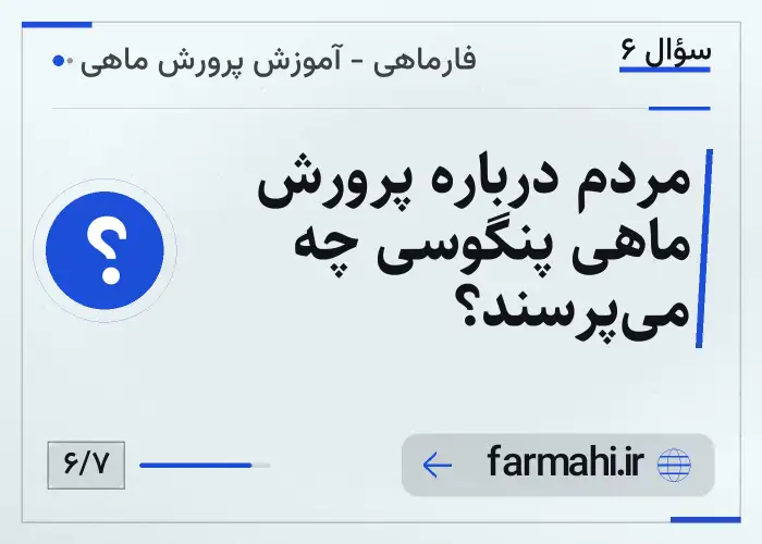 مردم درباره پرورش ماهی پنگوسی چه می‌پرسند؟