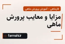مزایا و معایب پرورش ماهی
