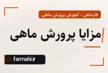 مزایا پرورش ماهی