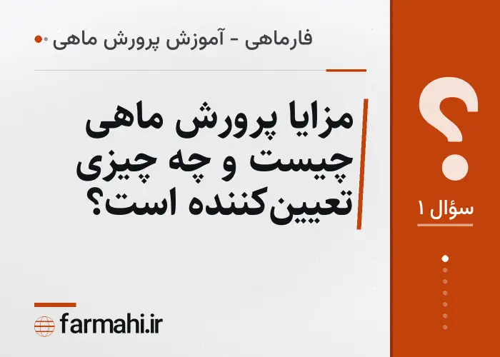 مزایا پرورش ماهی چیست و چه چیزی تعیین‌کننده است؟