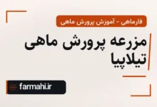 مزرعه پرورش ماهی تیلاپیا