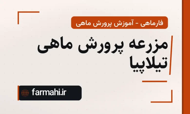 مزرعه پرورش ماهی تیلاپیا